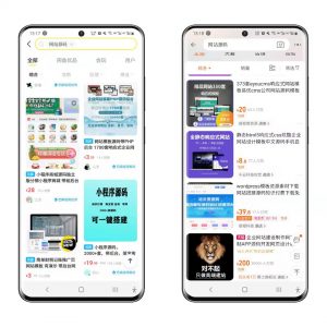 图片[1]-大强说项目 第1讲：倒卖网站、源码还赚钱吗？新手操作挣钱-大强博客