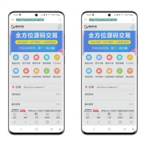 图片[3]-大强说项目 第1讲：倒卖网站、源码还赚钱吗？新手操作挣钱-大强博客