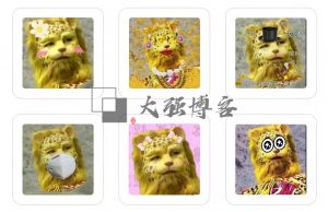 金钱豹头像是什么梗？怎么操作这个赚钱项目-大强博客