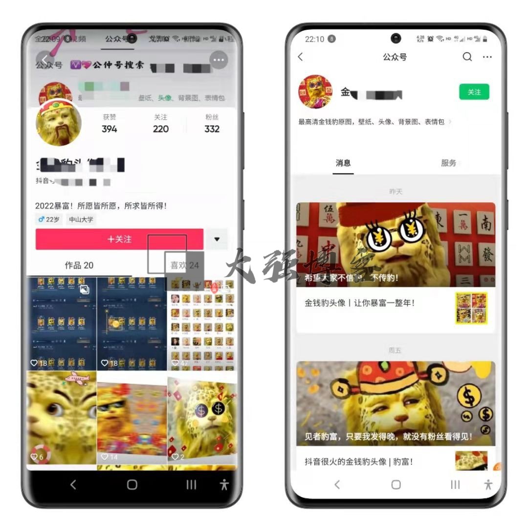 金钱豹头像是什么梗？怎么操作这个赚钱项目