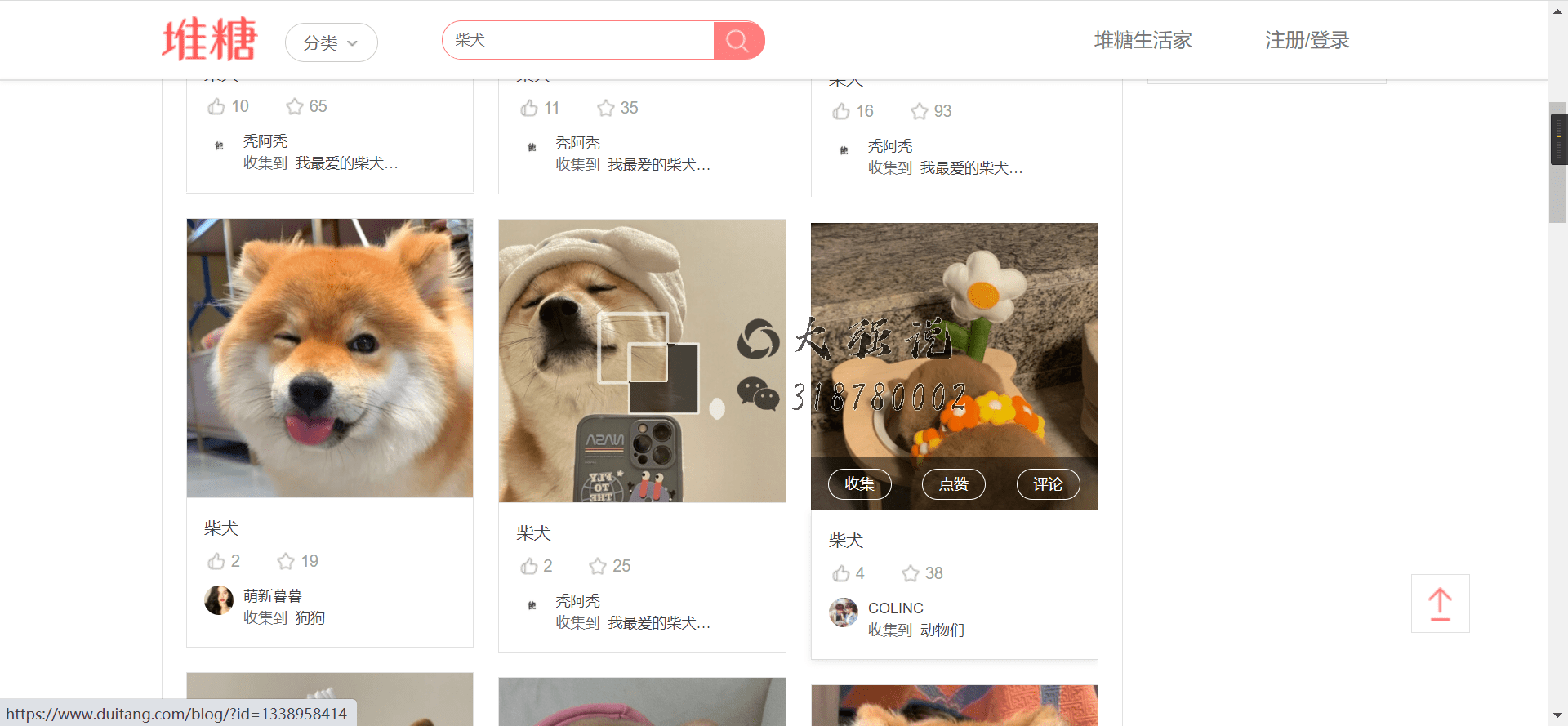 藏在表情包的财富 - 表情包躺赚项目