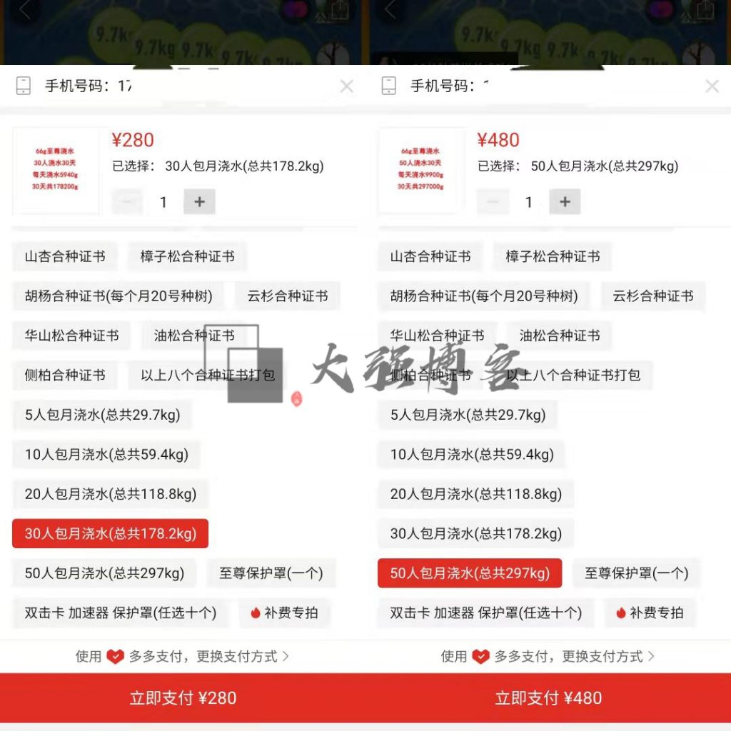 图片[3]-大强说项目：藏在蚂蚁森林的财富-大强博客