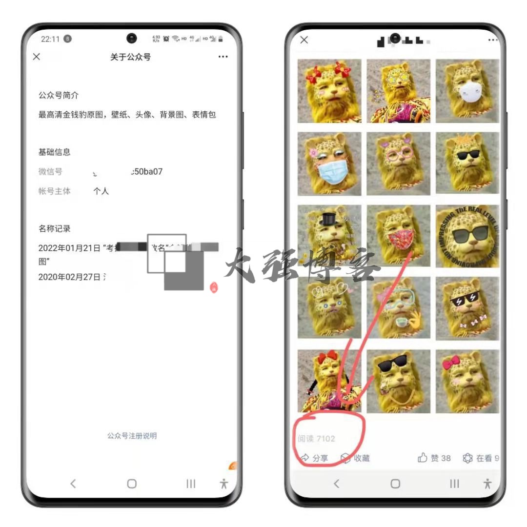 金钱豹头像是什么梗？怎么操作这个赚钱项目