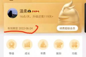 超级会员CDK漏洞（稳赚兼职项目）-大强博客