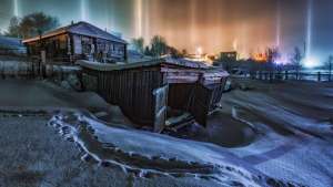 冷门千金藤 赚钱致富经，月出10万单的秘密-大强博客