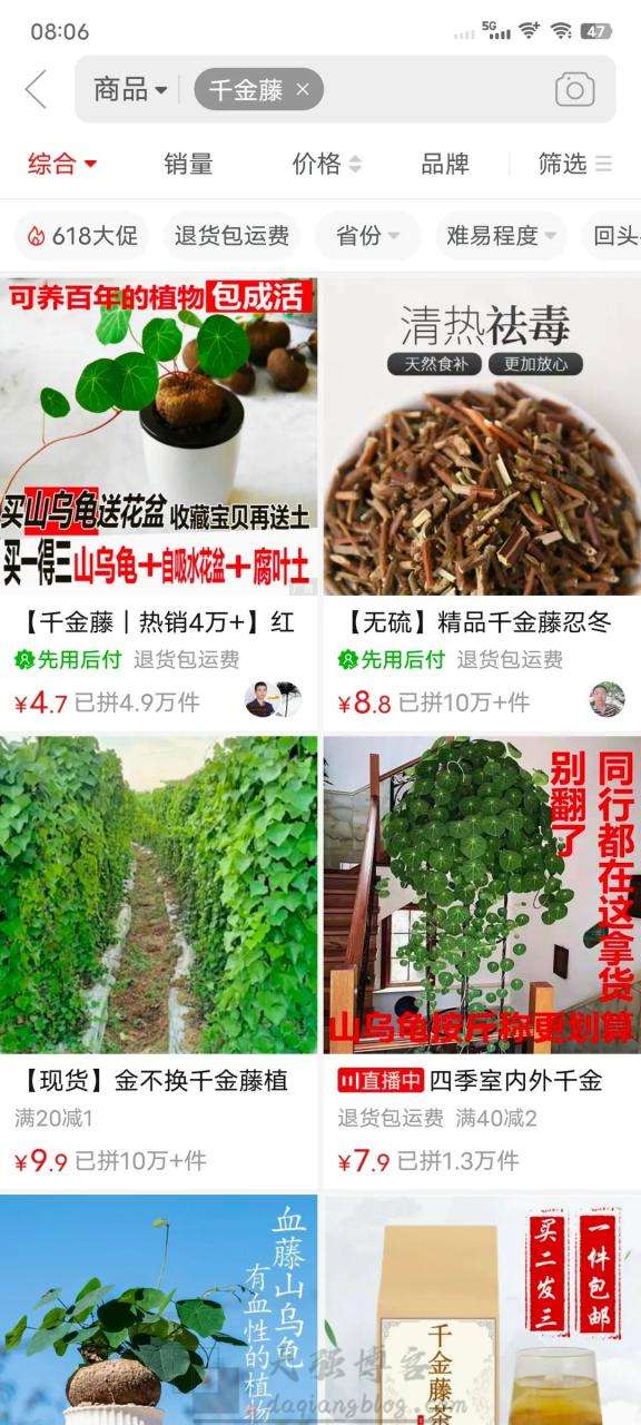 图片[2]-冷门千金藤 赚钱致富经，月出10万单的秘密-大强博客