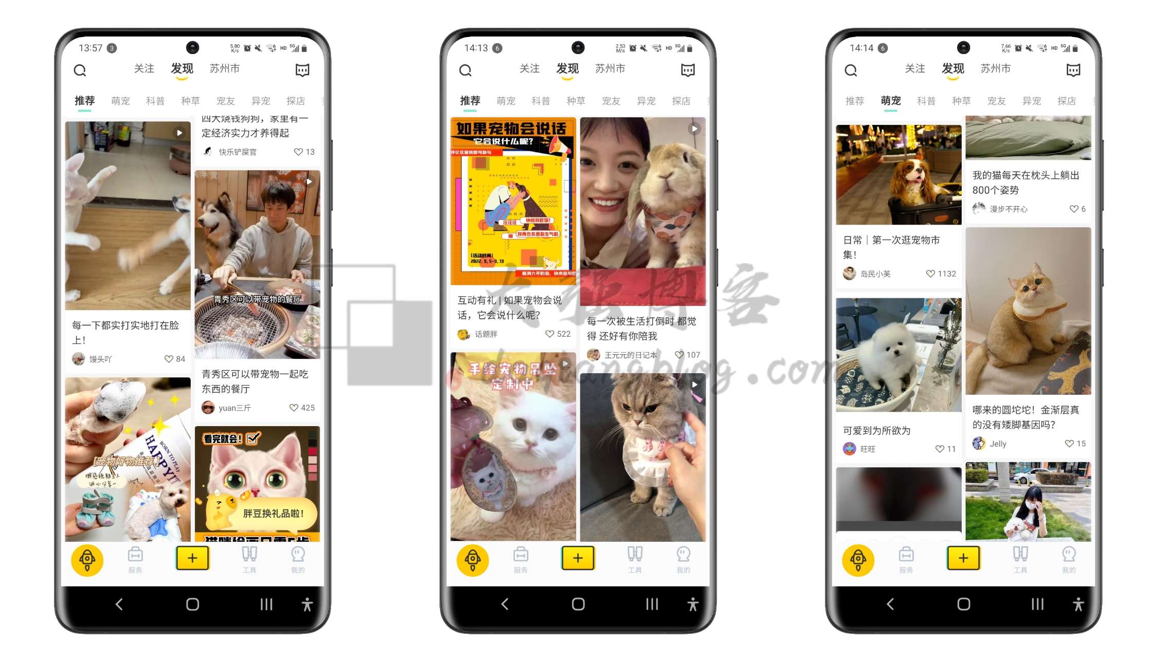 图片[1]-如何通过宠物赚钱？发发图片月入5000+的副业-大强博客
