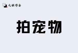 如何通过宠物赚钱?发发图片月入5000+的副业-大强博客