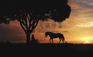 05年的压力上来了怎么办？工作室一小伙说-大强博客